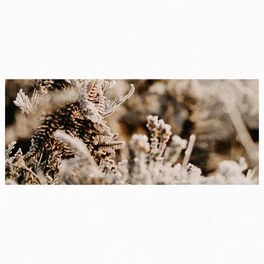 Freezing Rain by utem kaure - album cover