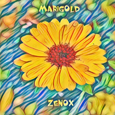 Marigold
