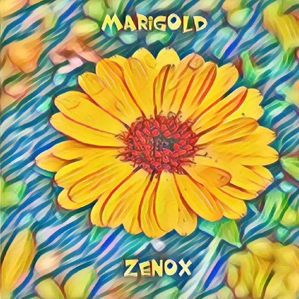 Marigold