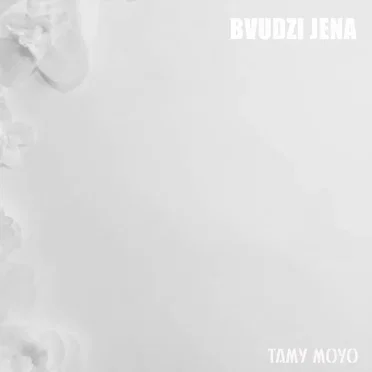 Bvudzi Jena by Tamy Moyo - album cover