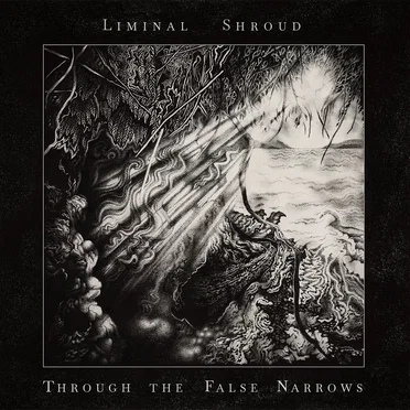 Through the False Narrows by Liminal Shroud - album cover