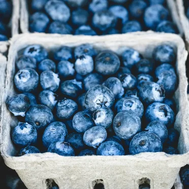 Blueberries by Brian Lewis - album cover