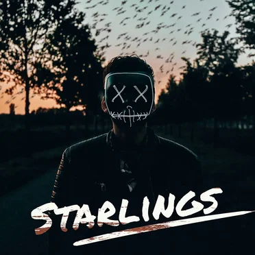 Starlings by Covered in Snow - album cover