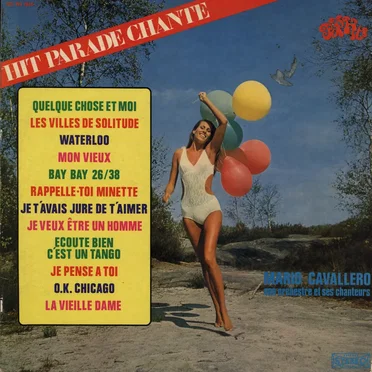 Hit Parade chanté - Pop Hits - Vol. 14