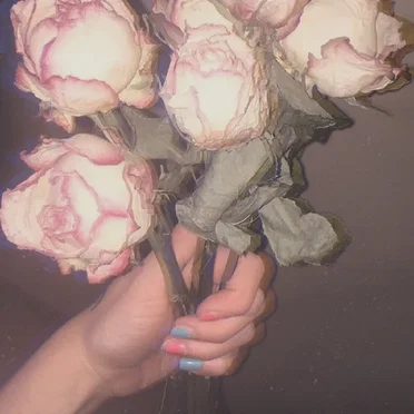 flowers by emily bewley - album cover