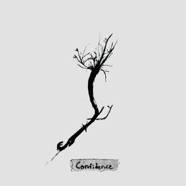Confidence