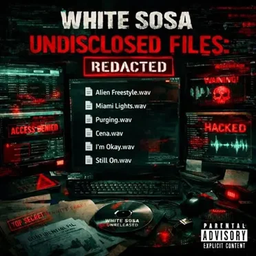 Undisclosed Files (Redacted)