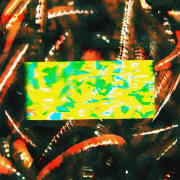 Bag of Worms