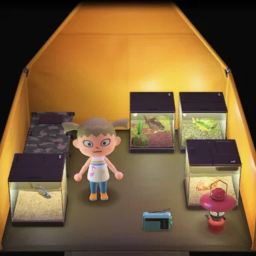 Accidental Nintendo Switch Field Recordings Vol. Animal Crossing: New Horizons