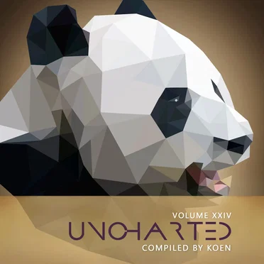 Uncharted, Volume XXIV by Various Artists - album cover