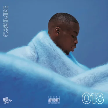 018 by Cashmire - album cover
