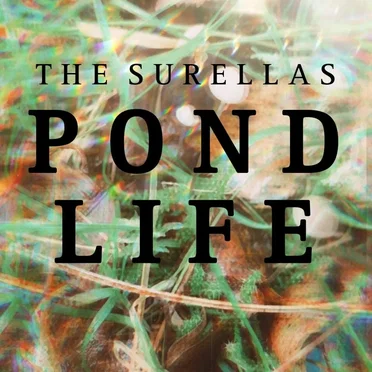 Pond Life