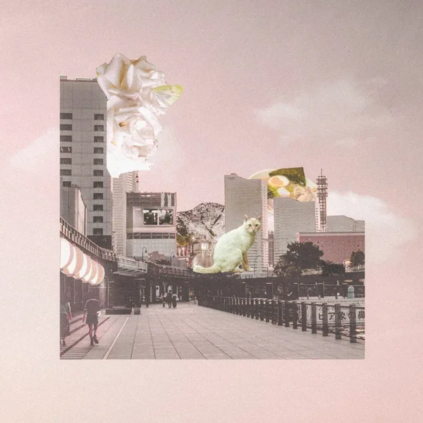 Dusk–Sunrise