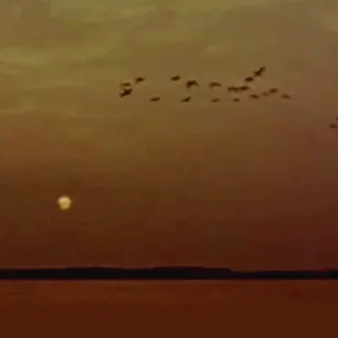 Southward Journey