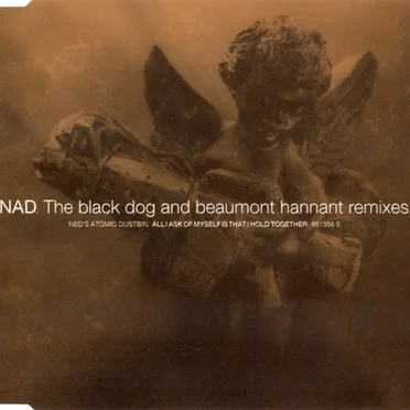 All I Ask of Myself Is That I Hold Together (The Black Dog and Beaumont Hannant Remixes)