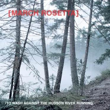 To Wash Against the Hudson River Running