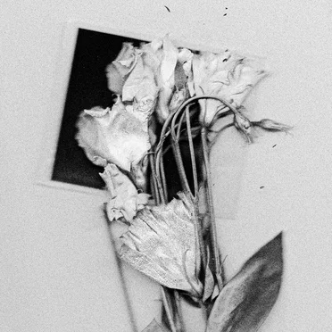 THE OTHER SIDE by ANNABEL LEE - album cover