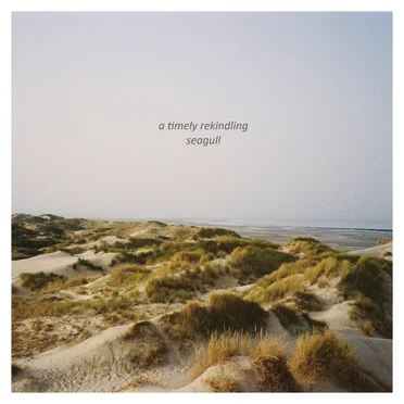 a timely rekindling by Seagull - album cover