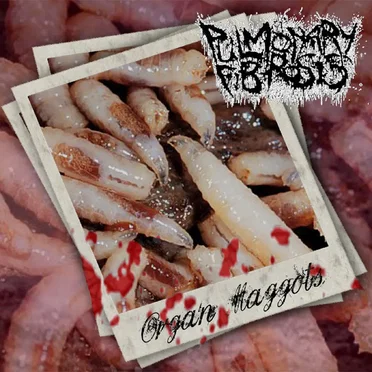 Organ Maggots