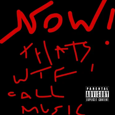 NOW! That’s WTF I Call Music by Anasonic - album cover