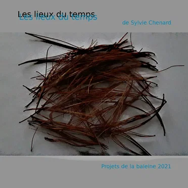 Les lieux du temps by Sylvie Chenard - album cover