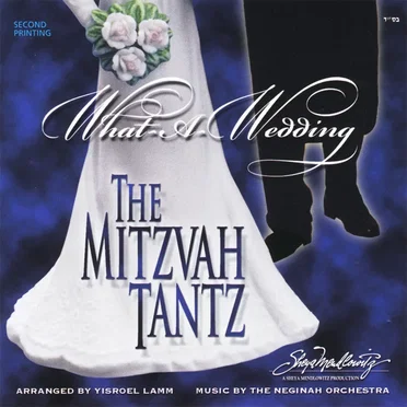 What a Wedding - The Mitzvah Tantz