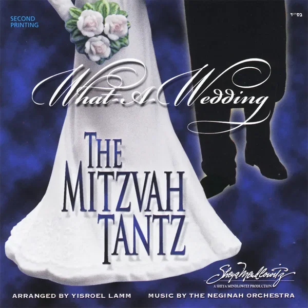 What a Wedding - The Mitzvah Tantz
