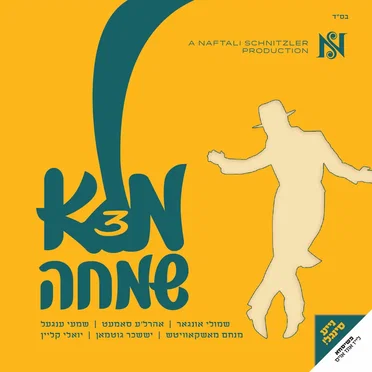 Mulei Simcha Vol. 3 - 3 מלא שמחה by Naftali Schnitzler - album cover