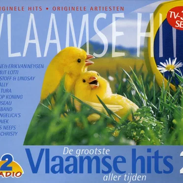 De grootste Vlaamse hits aller tijden, deel 2 by Various Artists - album cover