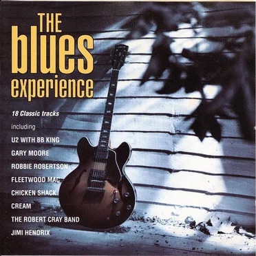 The Blues Experience by Various Artists - album cover