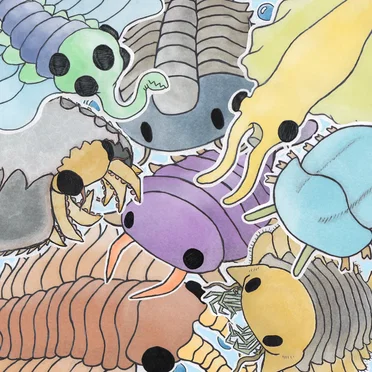 cambrian animals !! by camiidae - album cover