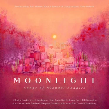 Moonlight by Various Artists - album cover
