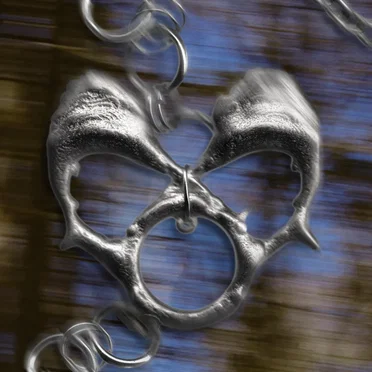 Rattle My Mind by Sam De Nef - album cover