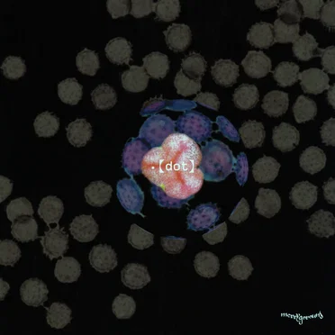 .【dot】