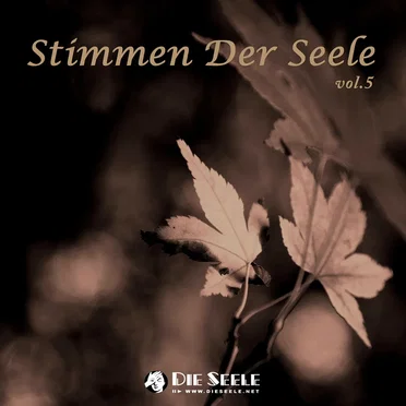 Stimmen der Seele vol.5 by Various Artists - album cover