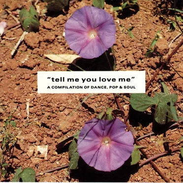 "Tell Me You Love Me" A Compilation Of Dance, Pop & Soul by Various Artists - album cover