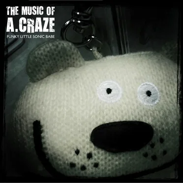 Funky Little Sonic Babe by The Music of A. Craze - album cover