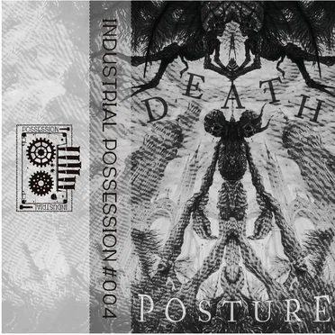 Perpetual Delusion by Death Posture - album cover