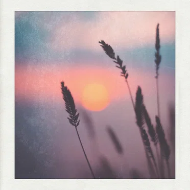 Hues of Amber & Rose