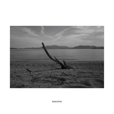 R0011790 by Hideo Nakasako - album cover
