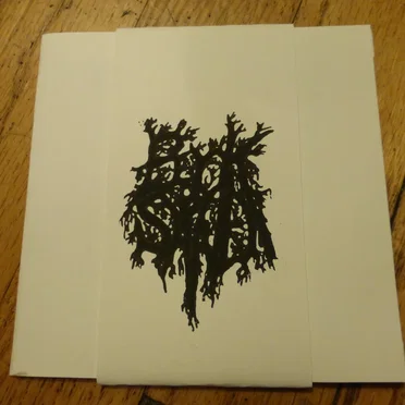 Elegy