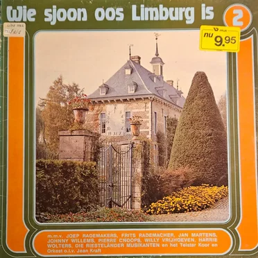 Wie sjoon oos Limburg is, 2 by Various Artists - album cover