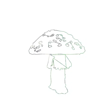 The Geometry of a Mushroom