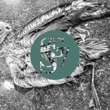 Artificial Heart by SG.7 - album cover