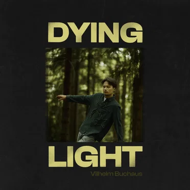 Dying Light by Vilhelm Buchaus - album cover