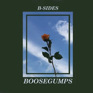 B-SIDES by Boosegumps - album cover