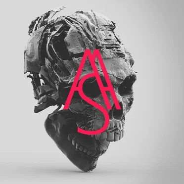 Agaricus (Agaricaceae) Pt №1