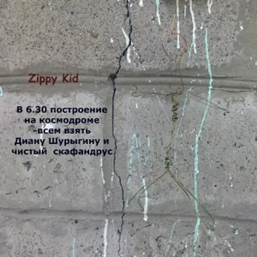 В 6.30 построение на космодроме-всем взять Диану Шурыгину и чистый скафандрус