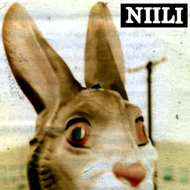 Bunny (2018) by Niili - album cover