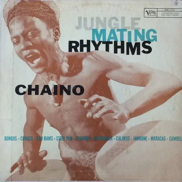 Jungle Mating Rhythms by Chaino - album cover